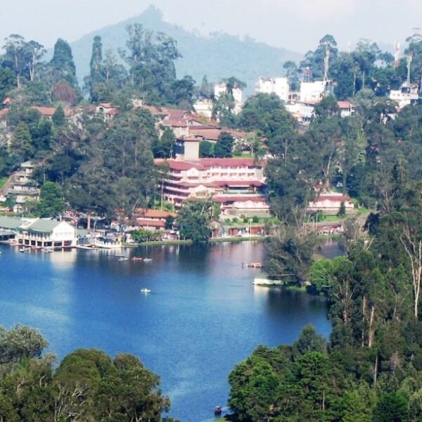 Experience the beauty of Kodaikanal with the Best Travels in kodaikanal. Our Kodaikanal Travels offer unforgettable journeys through scenic landscapes and top attractions. Explore Kodaikanal's charm with expert guides and seamless travel services from Kodaikanal Best Travels.